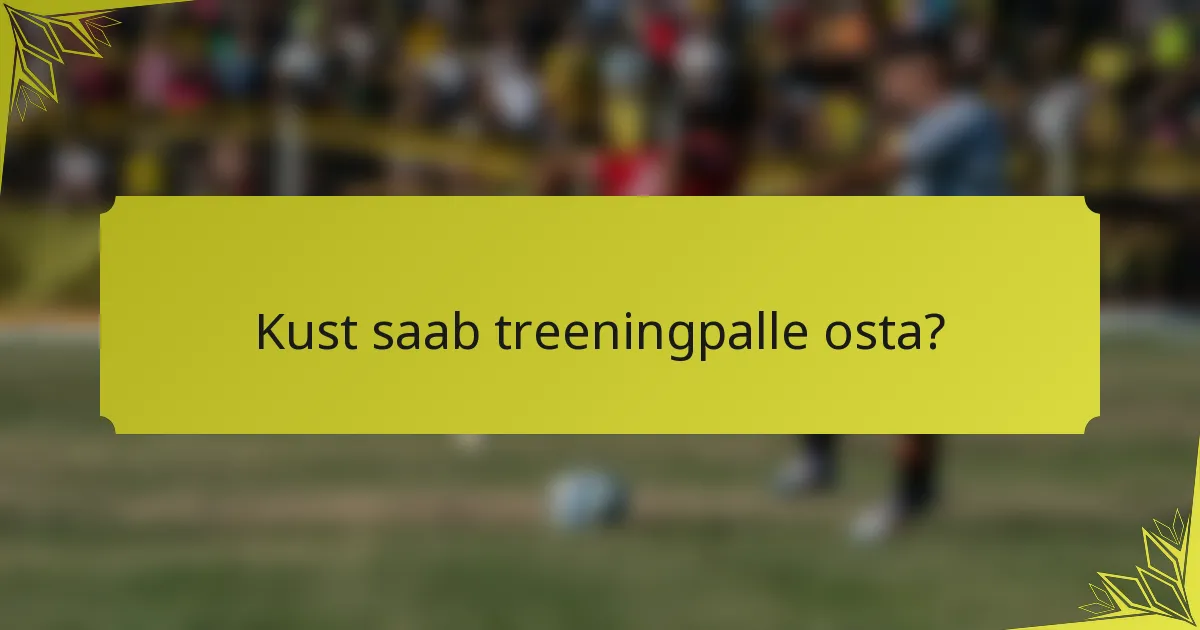 Kust saab treeningpalle osta?