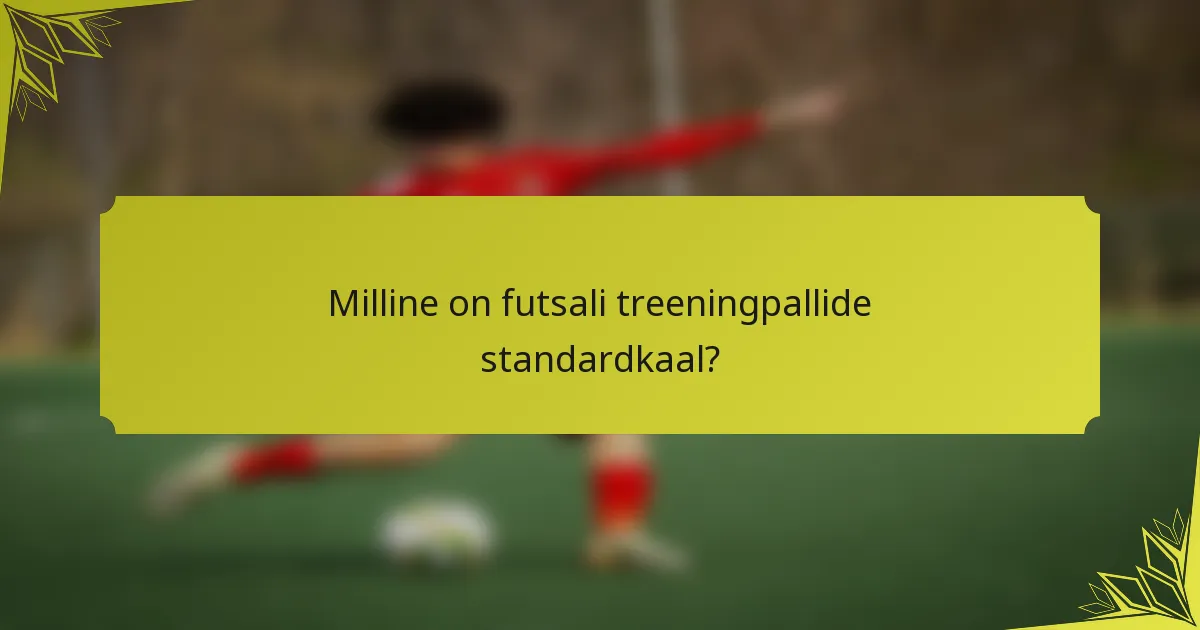Milline on futsali treeningpallide standardkaal?