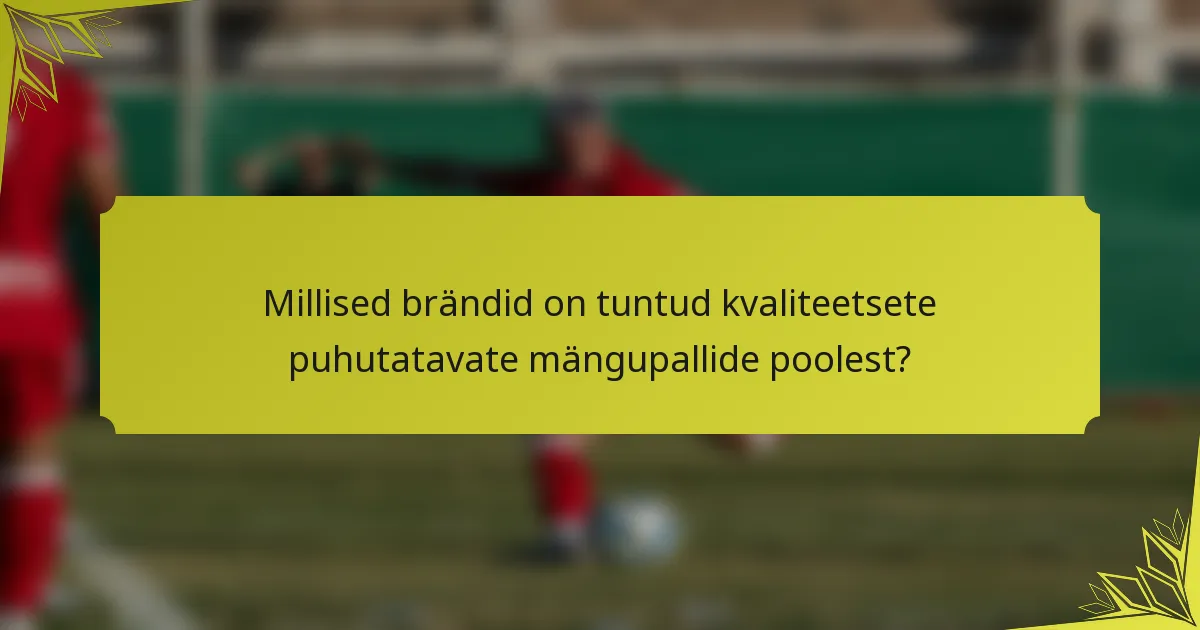 Millised brändid on tuntud kvaliteetsete puhutatavate mängupallide poolest?