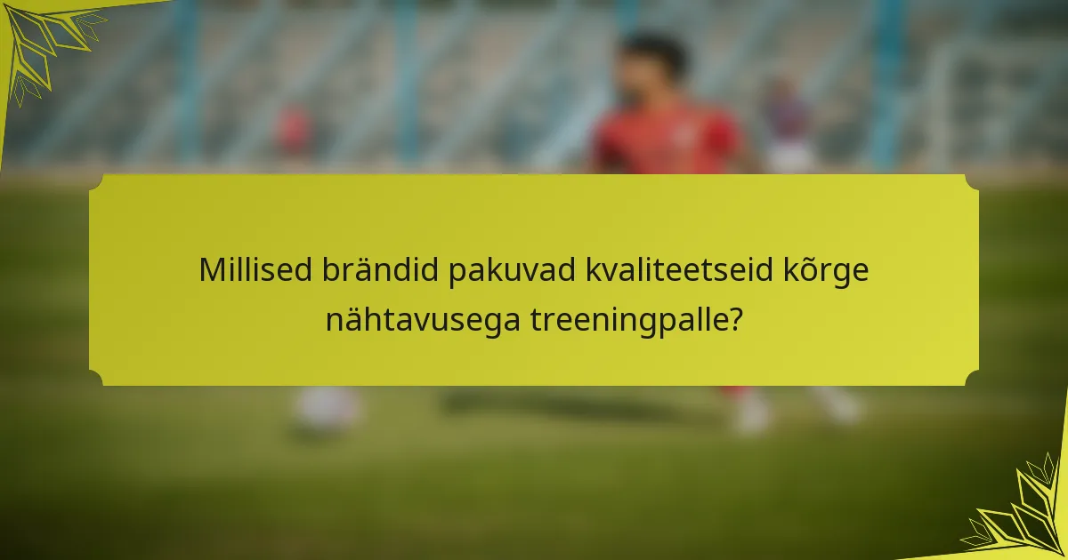 Millised brändid pakuvad kvaliteetseid kõrge nähtavusega treeningpalle?