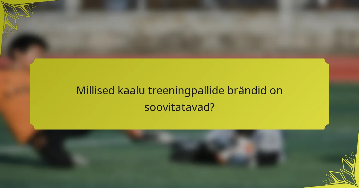 Millised kaalu treeningpallide brändid on soovitatavad?