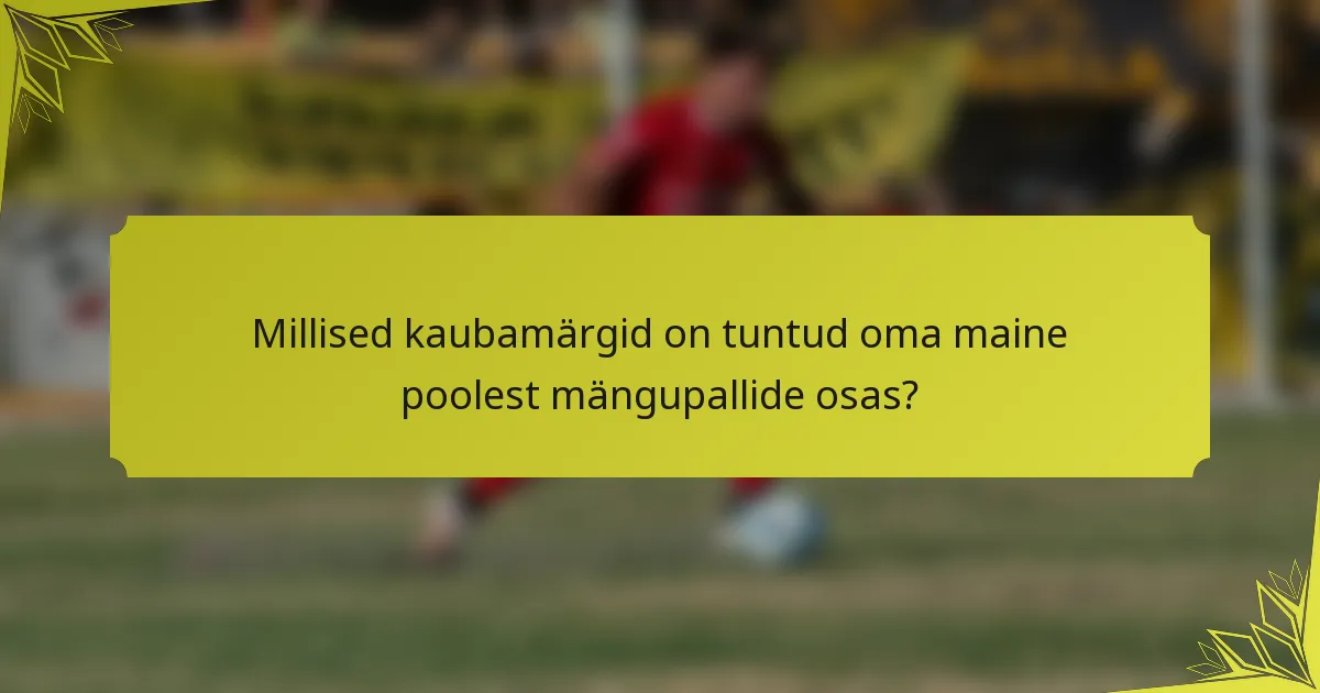 Millised kaubamärgid on tuntud oma maine poolest mängupallide osas?