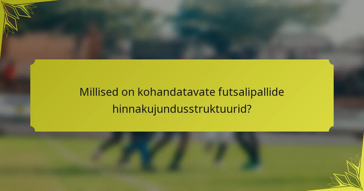 Millised on kohandatavate futsalipallide hinnakujundusstruktuurid?