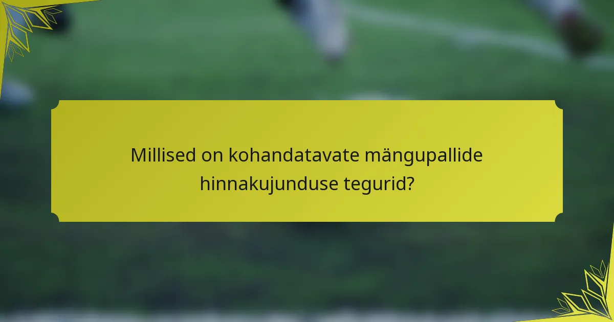 Millised on kohandatavate mängupallide hinnakujunduse tegurid?