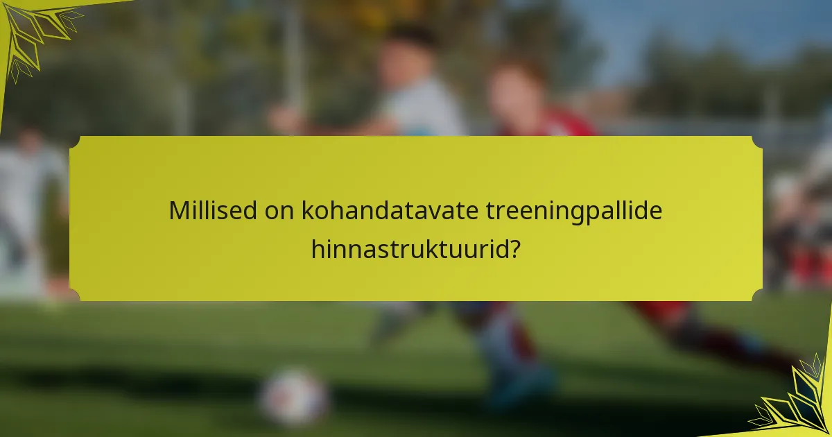 Millised on kohandatavate treeningpallide hinnastruktuurid?