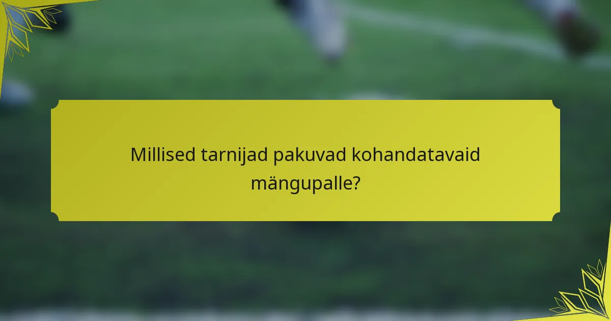 Millised tarnijad pakuvad kohandatavaid mängupalle?